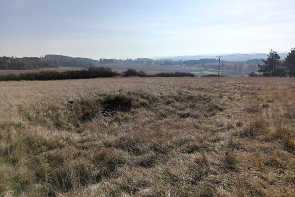 Louka 54202m2 Horažďovice